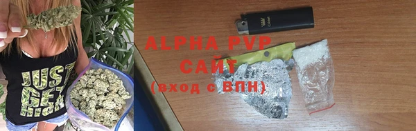 молекула духа Ростов