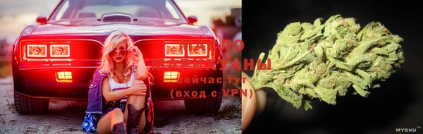 сатива Алзамай