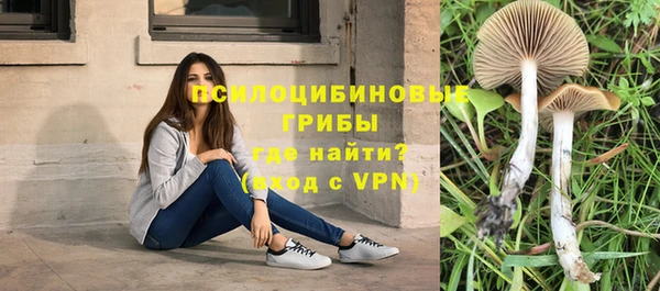 соль курить ск Абдулино