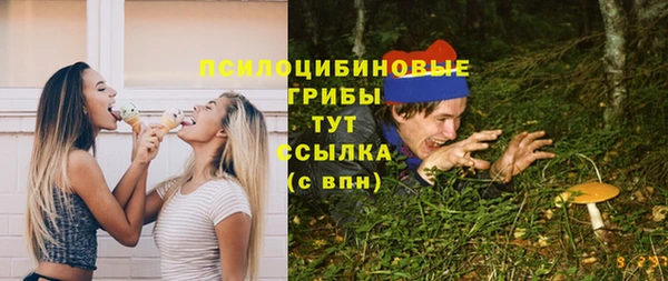 твердый Россошь