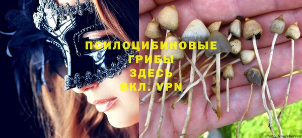 твердый Россошь